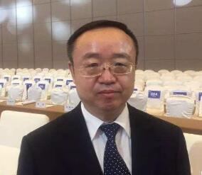 王繼業：數字技術推動電網向能源互聯網升級