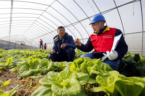 浙江寧波供電公司: 寒冬里,“電管家”守好百姓“菜籃子”