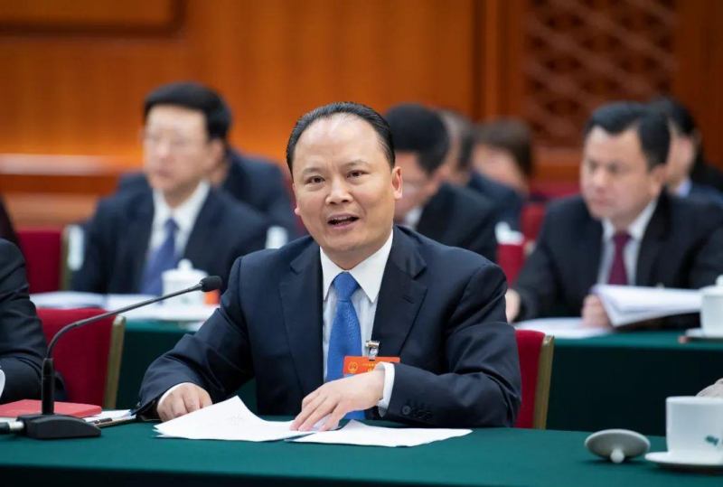 劉漢元代表:優化儲能發展模式 保障可再生能源有效消納