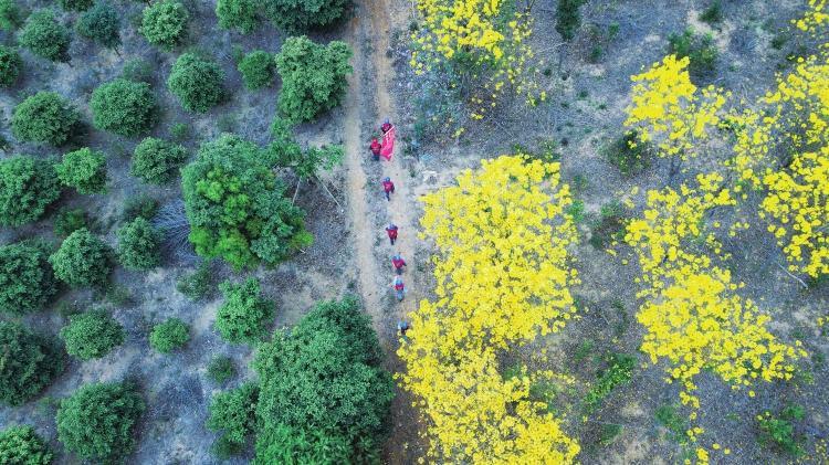 廣東電網公司科技助力春耕忙