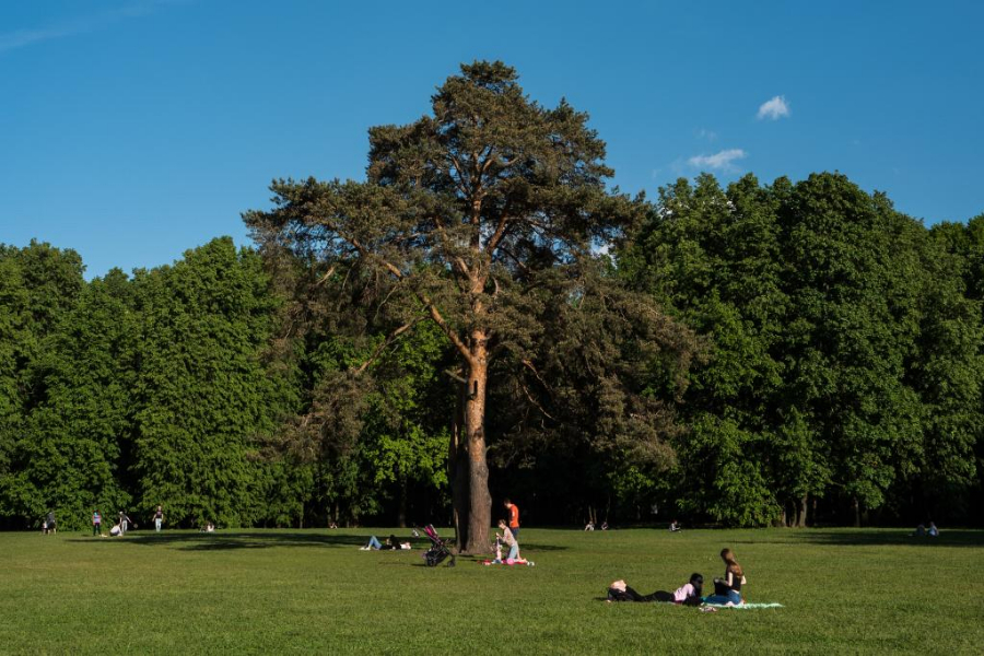 俄羅斯發布2050年前低碳發展戰略