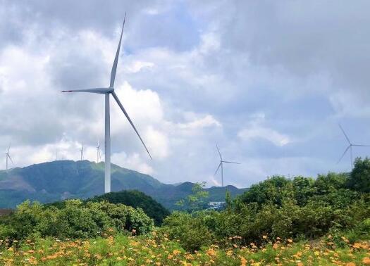 “碳”索之路，如何實現“先破后立”?