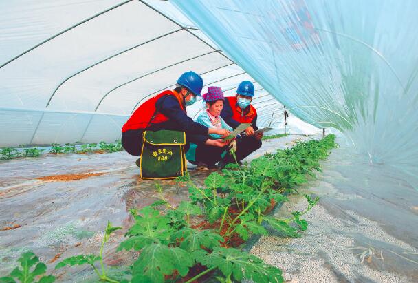 上門服務，瓜甜心更甜
