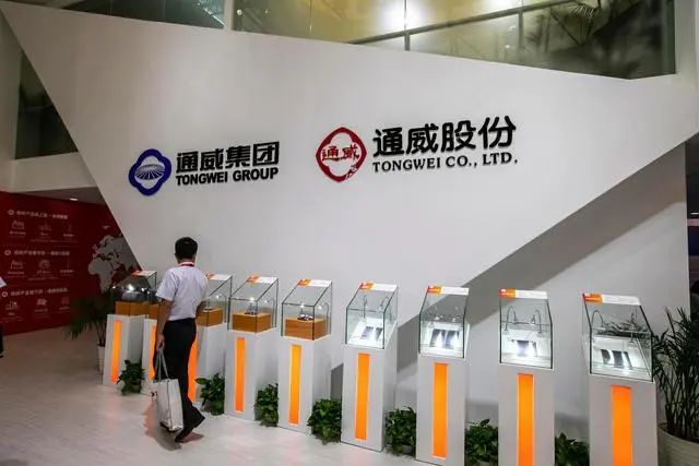 通威股份回應進軍組件：考慮在組件業務上做進一步論證規劃