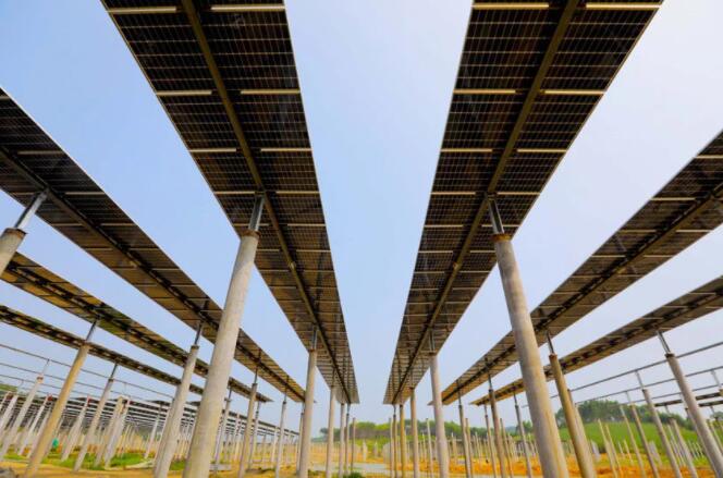 廣西融安縣2000畝光伏發電“點亮”鄉村振興路