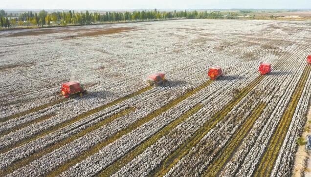 新疆阿克蘇供電公司全力服務棉花產業發展
