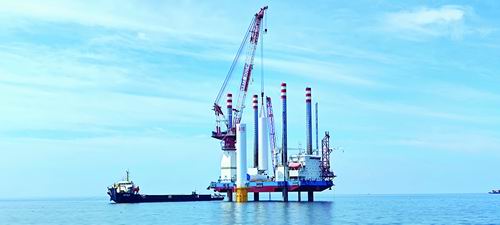 國內首個海上風電與海洋牧場融合項目并網發電