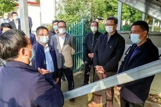 賦能鄉村振興！國家電投“新能源+”、“光伏+”助推經濟高質量發展