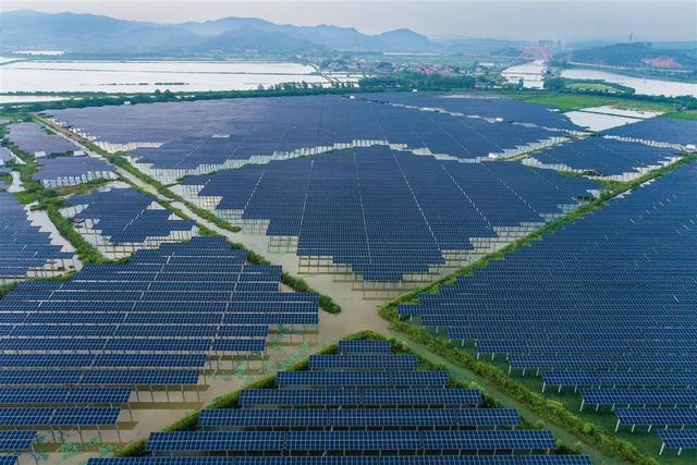 水上發(fā)電，水下養(yǎng)魚(yú)!黃石“漁光互補(bǔ)”綠色興農(nóng)