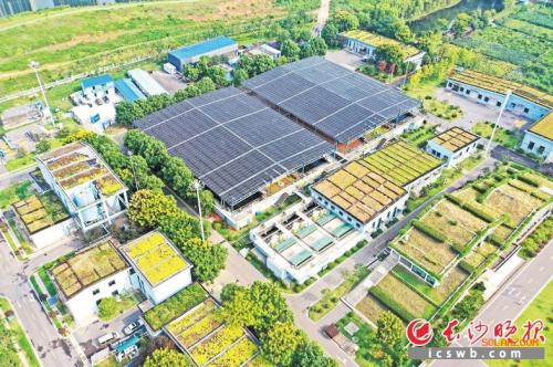 長沙: 洋湖再生水廠分布式光伏項目一期并網發電