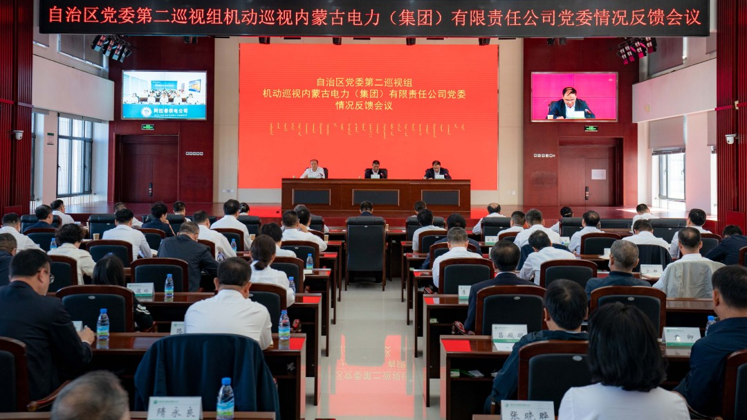 自治區黨委第二巡視組向內蒙古電力(集團)有限責任公司黨委反饋巡視情況