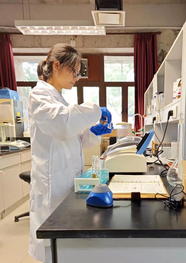 寶山這位博士后探索“氫轉甲烷”科創路徑，推動清潔能源制氫