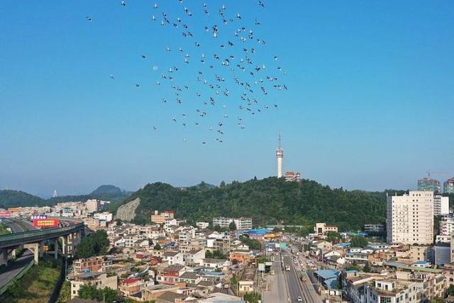 日“吞”垃圾500噸，年“吐”電能超億度!清鎮(zhèn)市首個生活垃圾焚燒發(fā)電項(xiàng)目并網(wǎng)發(fā)電