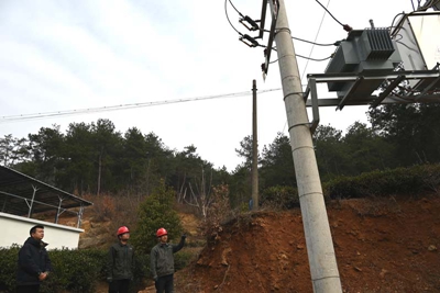 國網光山縣供電公司“村網共建”賦能鄉村振興
