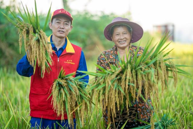 四川：電力賦能鄉村振興