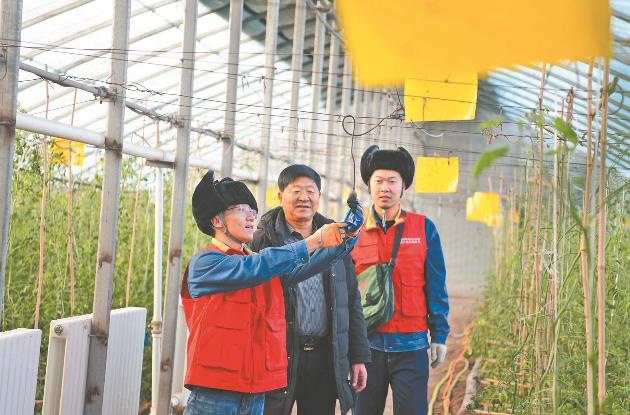 蔬菜大棚精準溫控 網格服務全面覆蓋