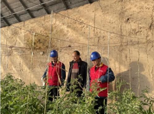 國網臨夏縣供電公司開展春耕備耕用電安全檢查