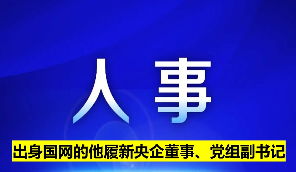 出身國網的他履新央企董事、黨組副書記